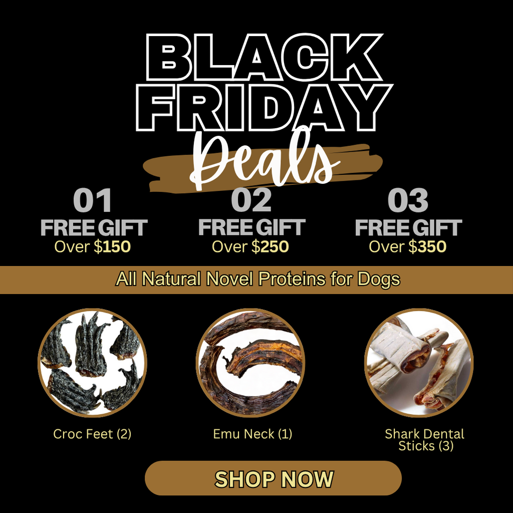 ⌛Black Friday Sale🔥