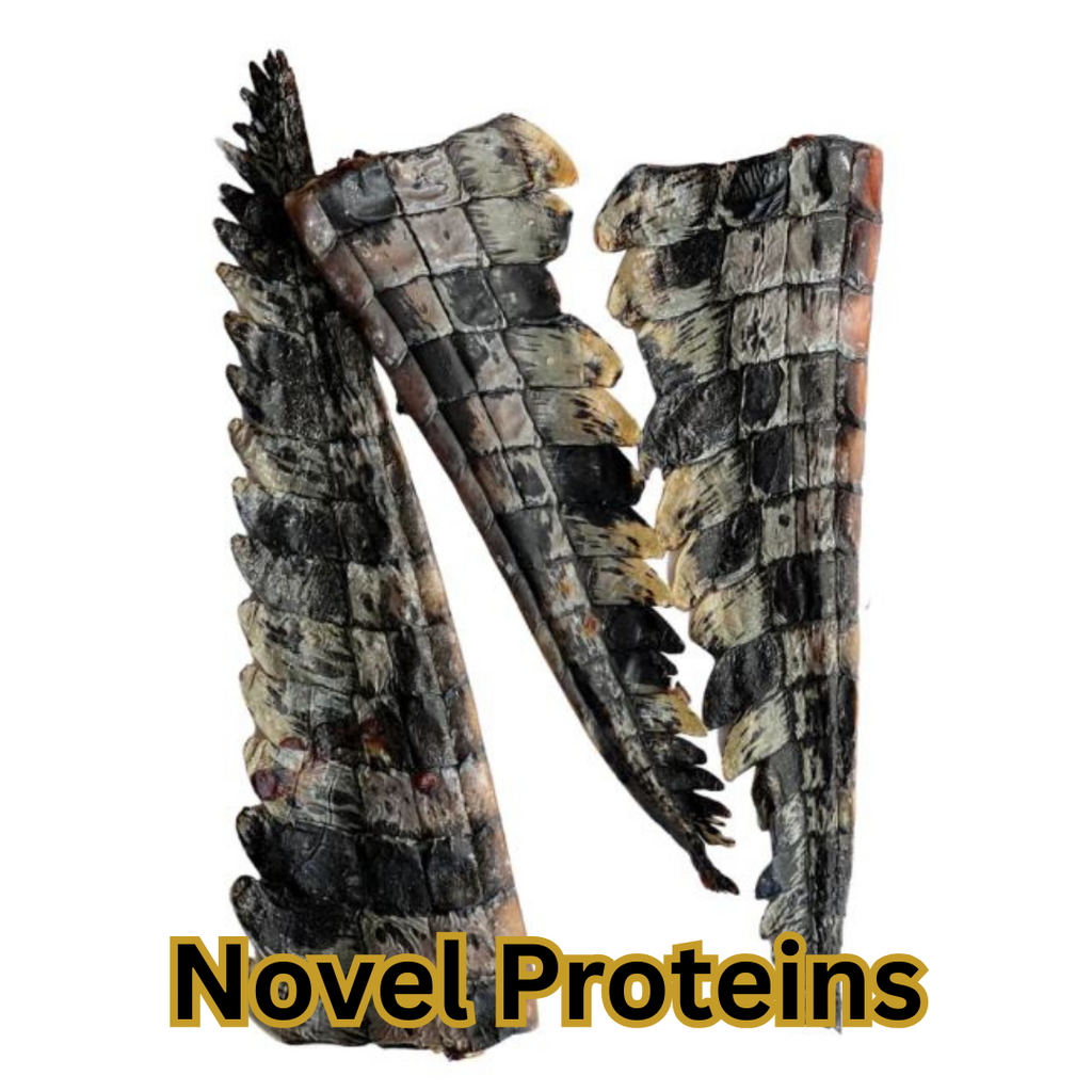Novel Proteins: From Roo to Rabbit - A World of Pawesome Flavours