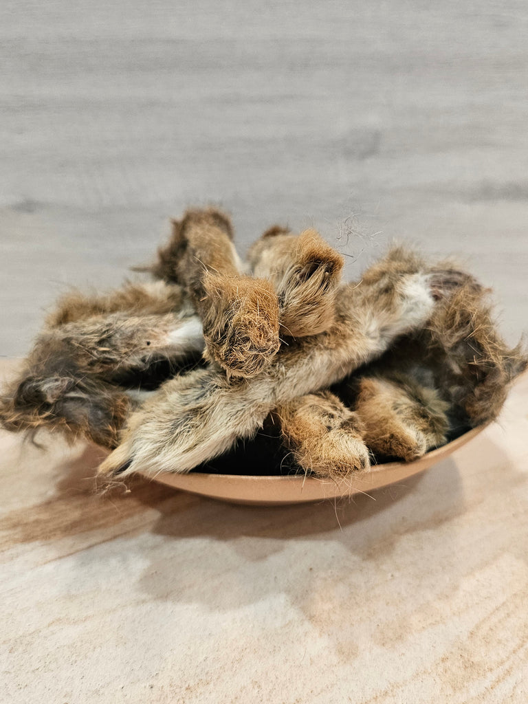 Close-up of several rabbit feet with fur on dog snacks in a bowl with a neutral background