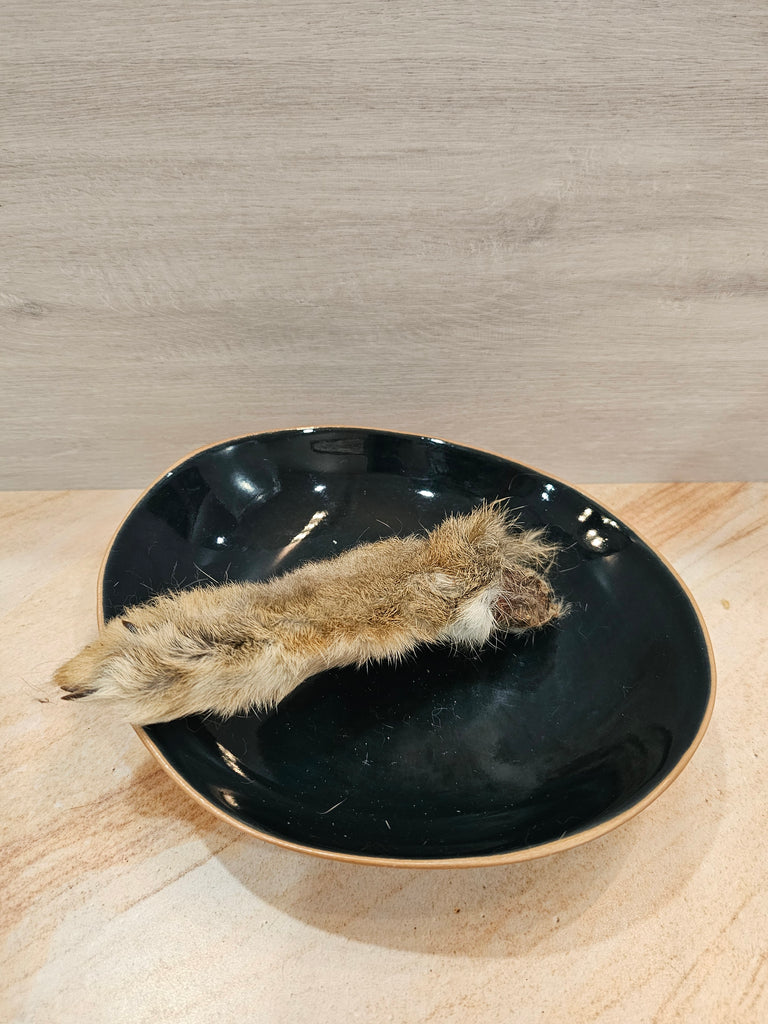 Close-up of a single rabbit foot with fur on dog snack in a bowl with a neutral background