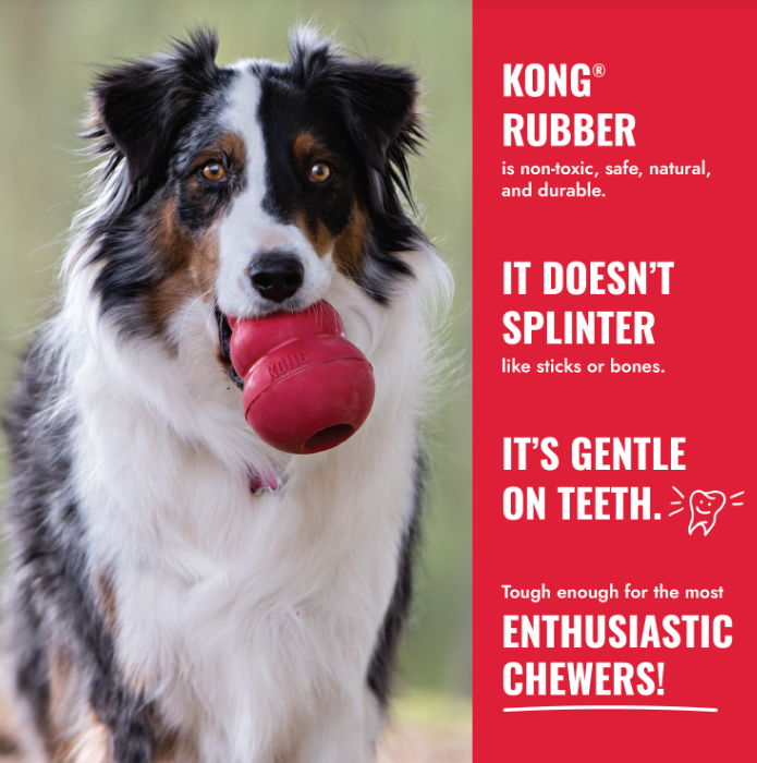 Dog holding a red Kong toy with promotional text on a red background