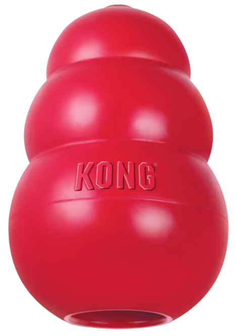 Red KONG classic dog toy on a white background