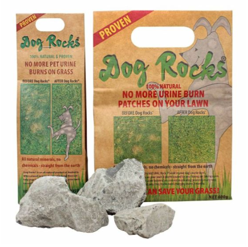 Dog Rocks packaging with rocks on a white background