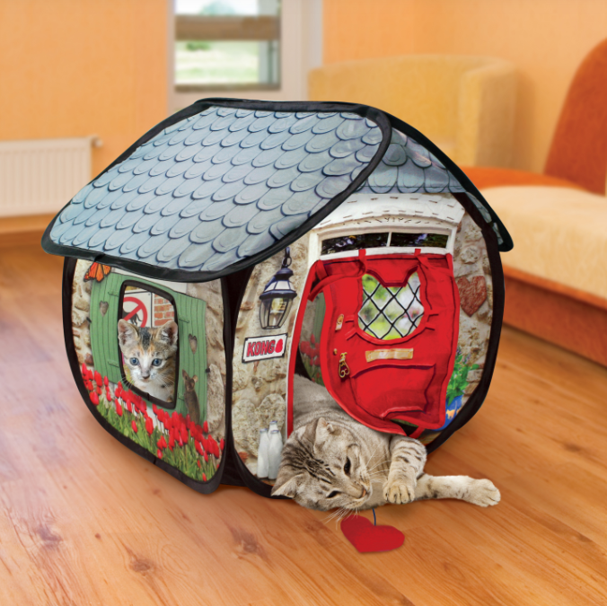 Cat playing with a KONG cat house-bunglaow shaped pet tent on a wooden floor.