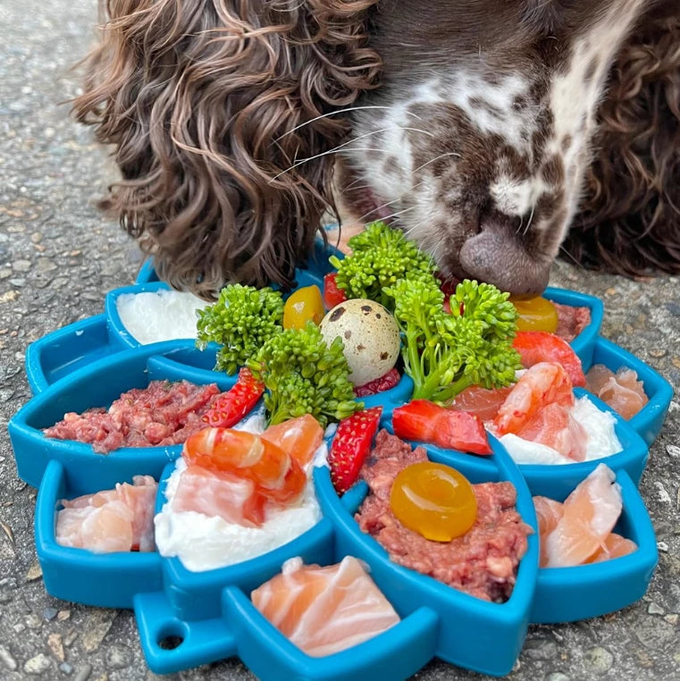 SodaPup Mandala eTray Slowfeeder for Dogs in blue filled with enrichment type dog food and healthy treats