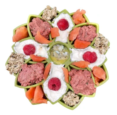 SodaPup Mandala eTray Slowfeeder for Dogs in green filled with enrichment type dog food and healthy treats